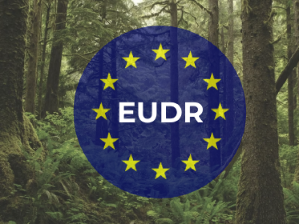 Nařízení EU o odlesňování (EUDR): Co potřebujete vědět
